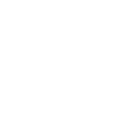 Fork icon