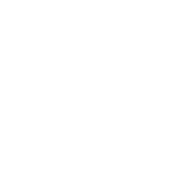 Circle 8 icon